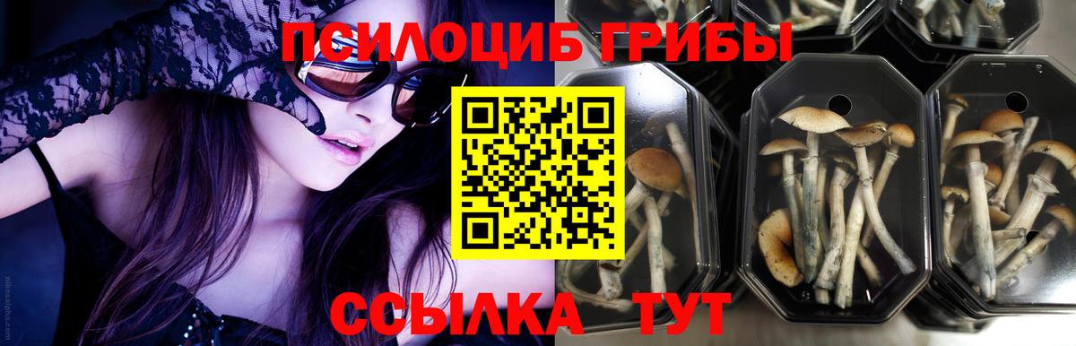Псилоцибиновые грибы ЛСД  Вход с VPN  Калач-на-Дону 