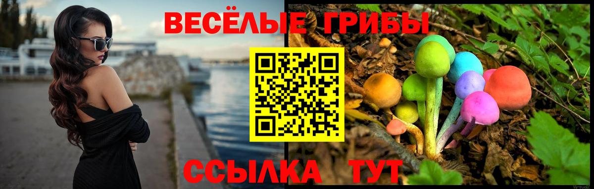 Галлюциногенные грибы Psilocybine cubensis Калач-на-Дону